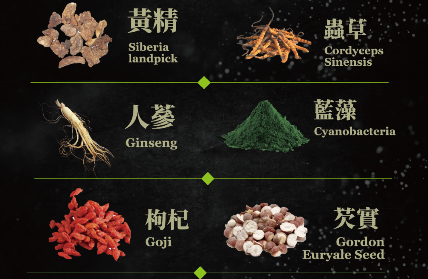 黑武士 黃精 瑪卡 蟲草 黃精 人蔘 藍藻 植物濃縮萃取粉末 8
