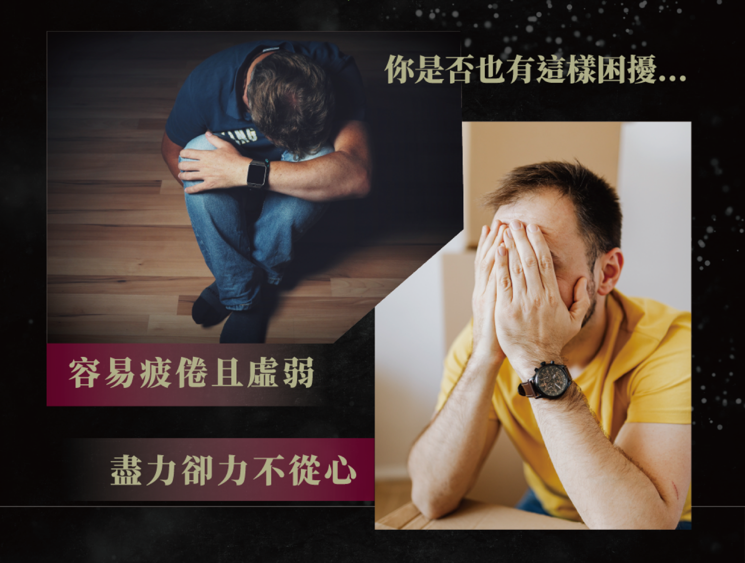 黑武士 黃精 瑪卡 蟲草 黃精 人蔘 藍藻 植物濃縮萃取粉末 8