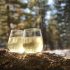 【TOSSWARE】寶特環保酒杯 14oz Vino 無梗葡萄酒杯（12 入）