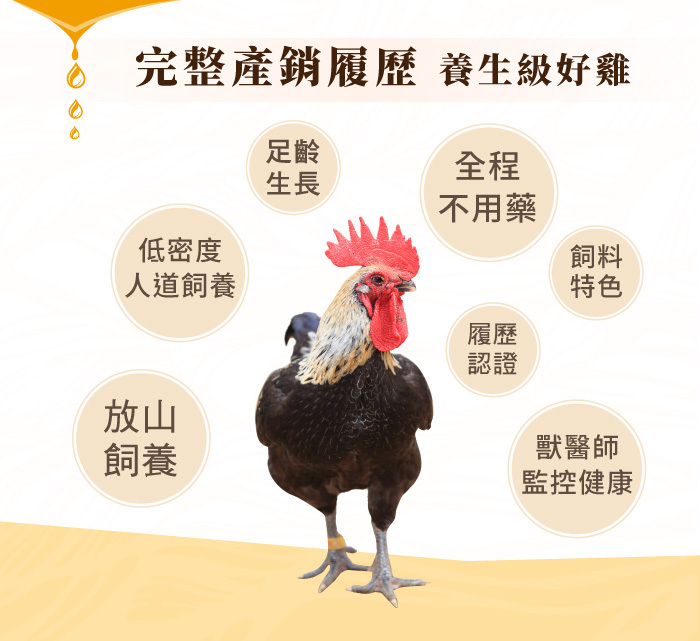 常溫滴雞精
