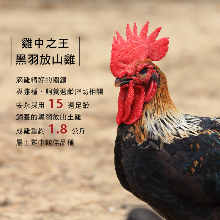 常溫滴雞精