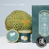 【瑋納佰洲】馬來西亞 - 貓山王榴槤冰淇淋（80g / 杯）