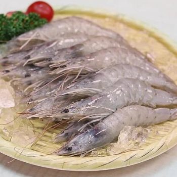 【胡同燒肉】生凍白蝦 50/60（1000g × 5 組入）