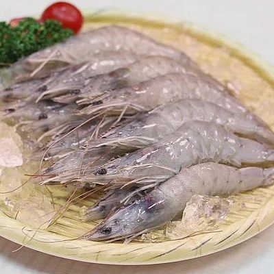 【胡同燒肉】生凍白蝦 50/60（1000g × 5 組入）